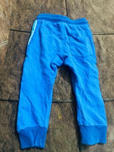 Blue Surf Joggers