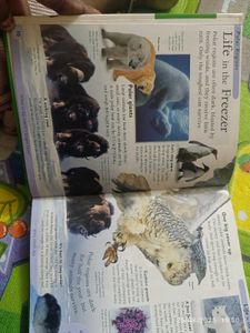 New Nature Encyclopedia