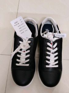 Nautica Brand New Sneakers