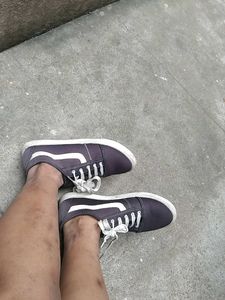 Stylish Canvas Sneakers