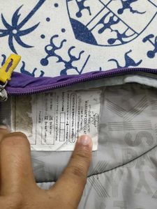Skybags Backpack