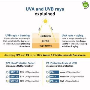 [ONLY 1] Plum Sunscreen SPF 50 PA+++