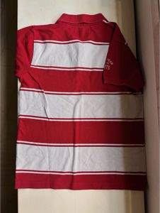Striped Polo Shirt