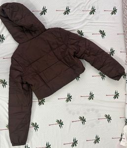 URBANIC Brown Cropped Puffer Jacket