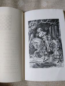 Fiction Fantasy novel