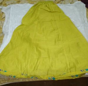 Skirt Type Plazzo