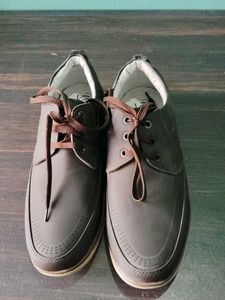 Casual Brown Shoes