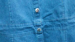 Denim Button-Down Dress With Inner Wear