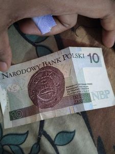 Polish Currency