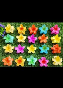 Pinterest Aesthetic Flower/ Sanrio Hair Clutchers