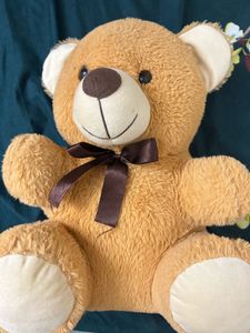 Cute Brown Teddy Bear