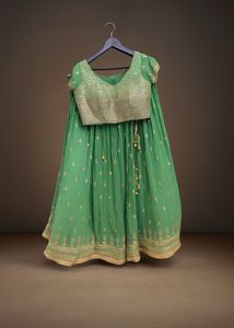 Pastel Green Embroidered Lehenga with Matching Blo