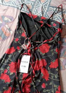SAVANA Sheer Bodycon Dress (New With Tag AndPouch)