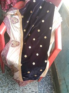 Elegant Embellished Saree