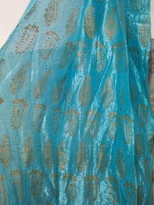 Long Dupatta