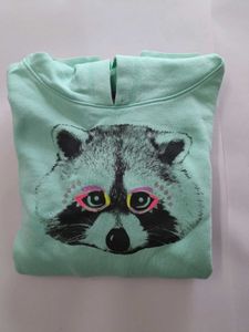 Cute Teal Blue Colored Hoodie From USA