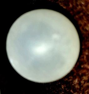 Crazy Ball
