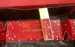Estee Lauder Persuasive