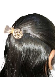 Brand New Hair Clip