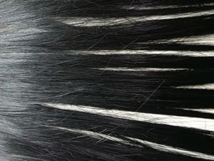 Hair Extensiones(Black) New Unused
