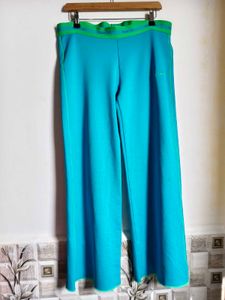 Size Large Aqua Track Pants