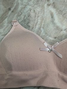 Regular Wear Bra