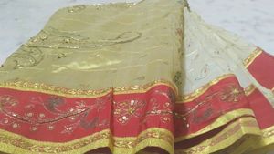 Organza Saree With Aari Tari Work