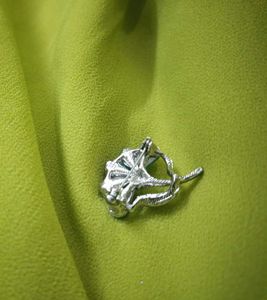 Vintage Brooch Saree