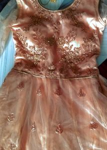 Elegant Peach Net Gown with Embroidery Work