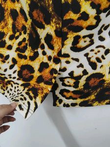 Animal Print Skirt