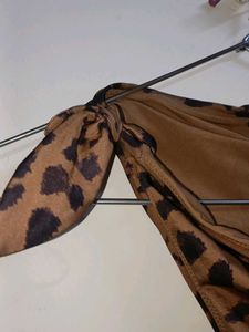 Animal Print 🐾