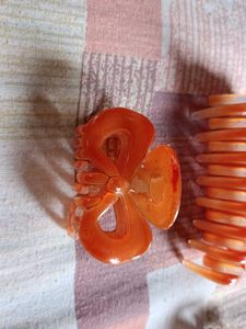 4  Fashionable Hair Clips