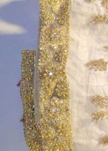 Elegant Saree without bluse