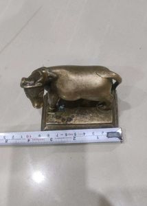 Brass Cow 🐄  One Horn Broken