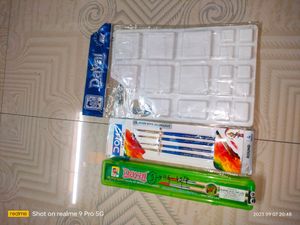 Drawing Plate With 3 Used Dayal Company Brush &amp; 1 New Doms Brush Pack (Consisting 4 Different No Brushes) (16 A4 Art paper Sheets Free)