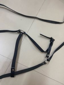 5 Belt Combo