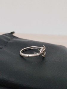 Sterling Silver Ring