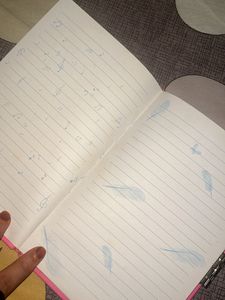 Dora The Explorer Diary Book