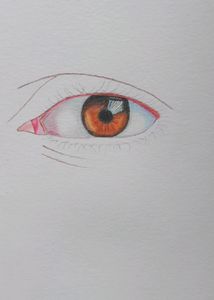 Colour Pencil Drawing