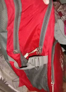 Red 55L New Skybags Bagpack