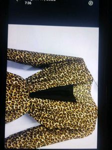 Leopard Print Mini Dress