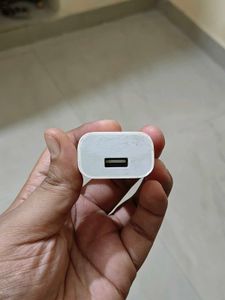 Apple Iphone 5w Charger