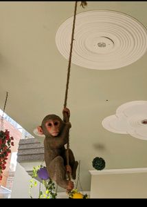 PolyResin Hanging Climbing Monkey with Jute Rope