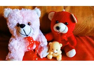 Teddy 🧸 For Gift /Kids...🤩