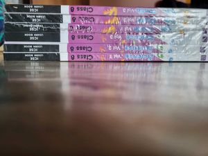 Put Offer Set Of 6 Books 8 Th Icsc .each For 50