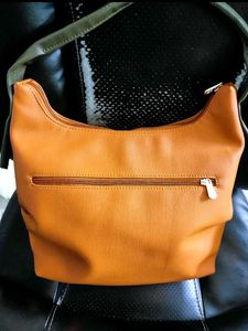 Brand New Baggit Hand Bag