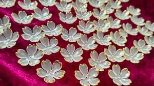 Acrylic Flower 200 Pis