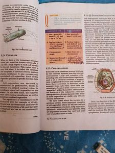 CBSC Mercury Science Textbook for Class IX