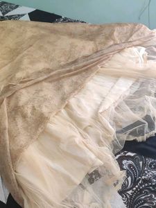 Elegant Ethnic Gown