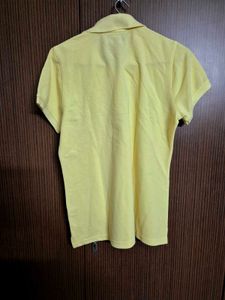Cobb Collared Tshirt | 40